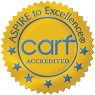 Goodwill report page CARF certification